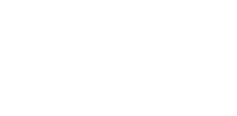 New Life Begins
