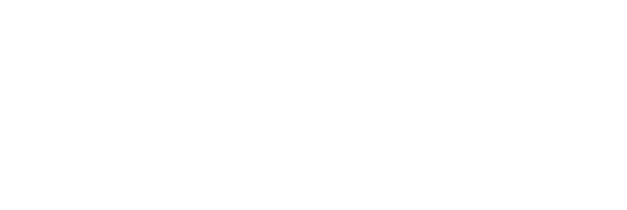 Honest Candidate