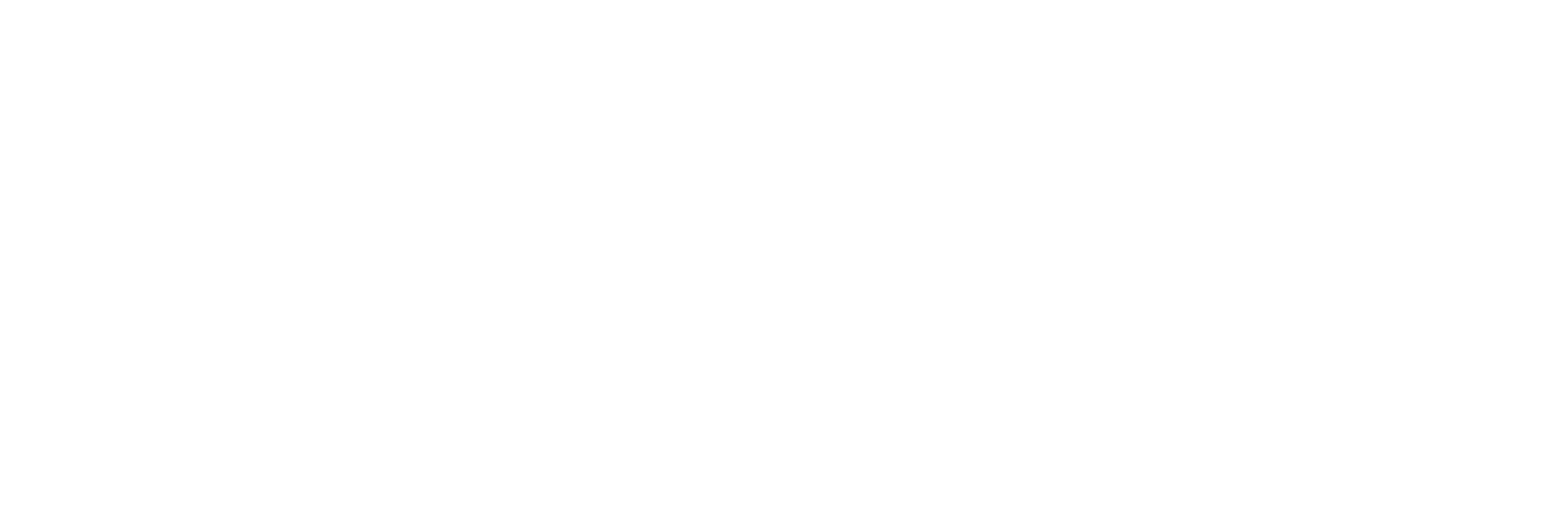 Gilmore Girls: A Year in the Life
