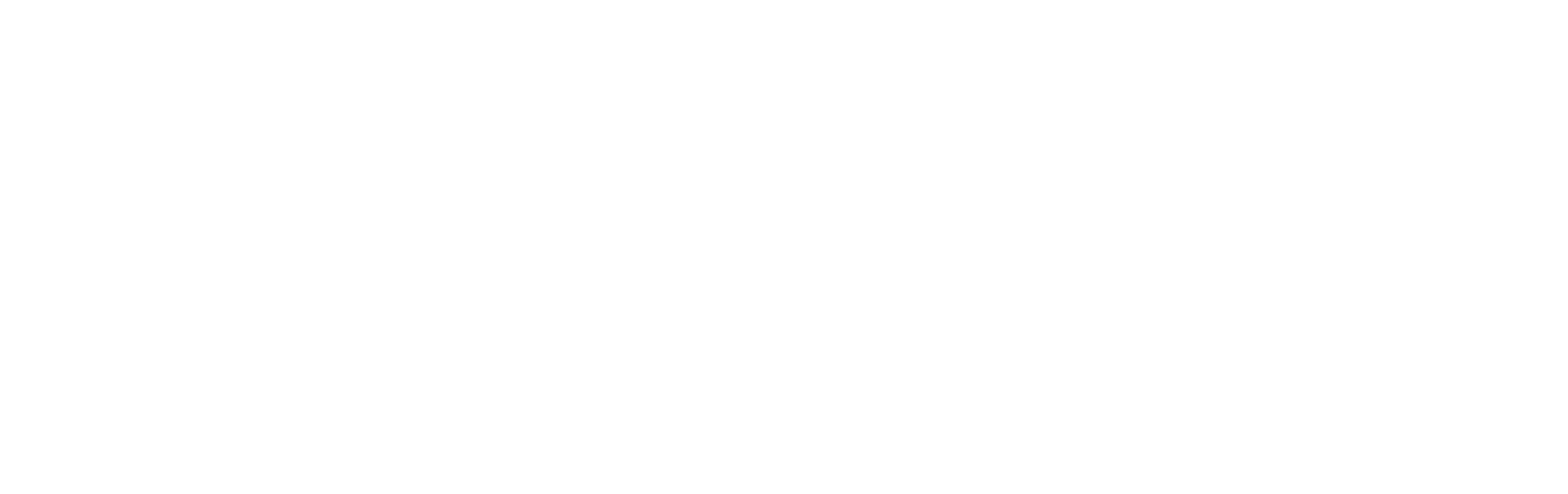 The Protégé