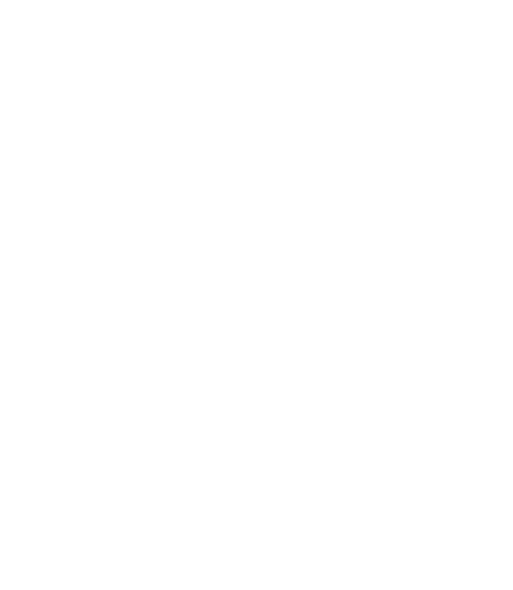 The Cable Guy