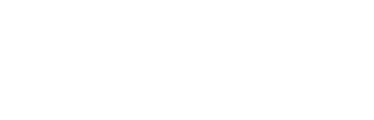The Virgin Suicides