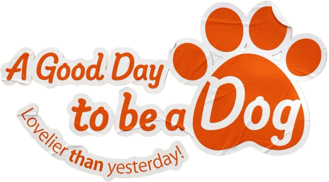 A Good Day to be a Dog