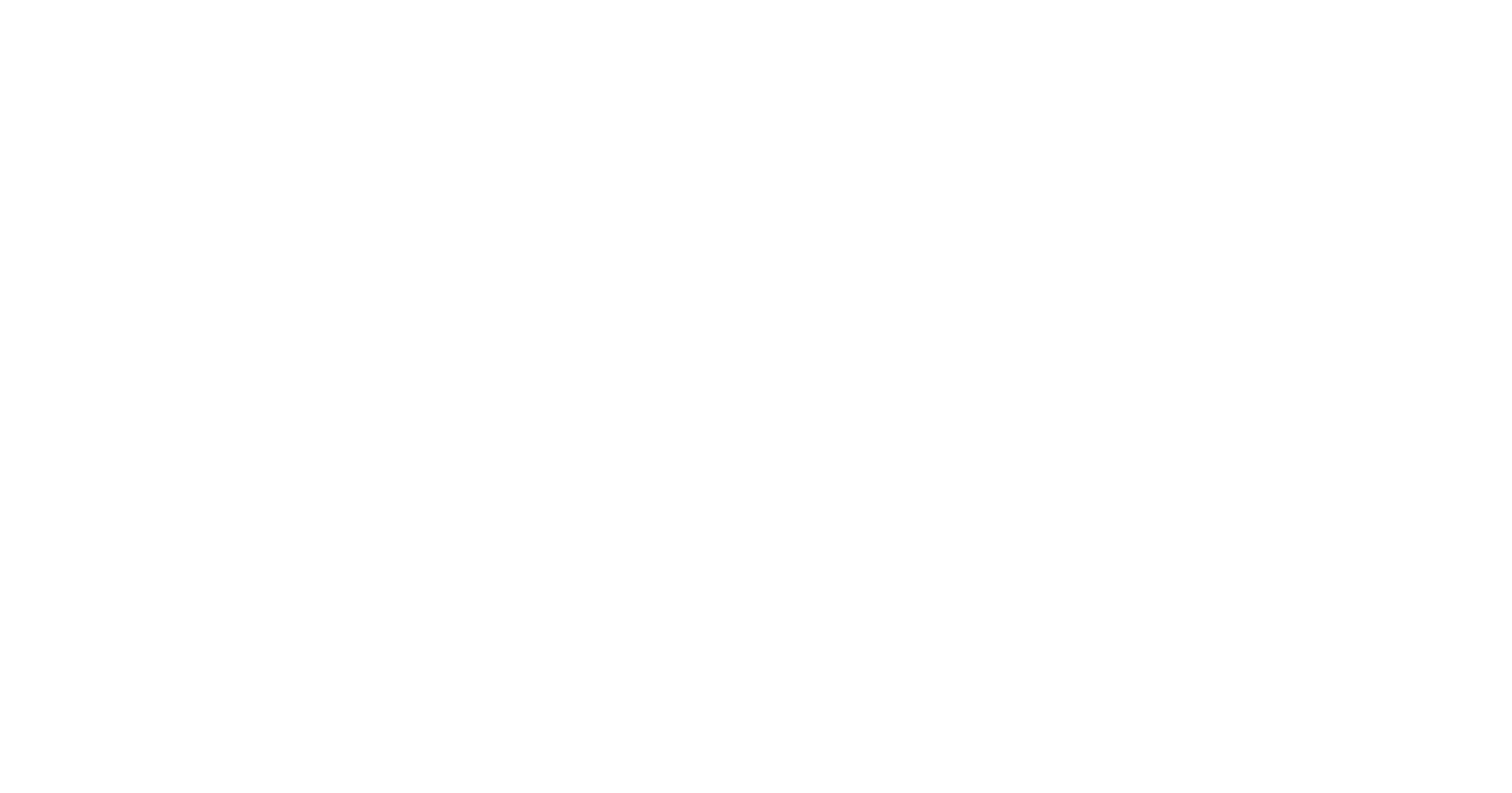 The Dink