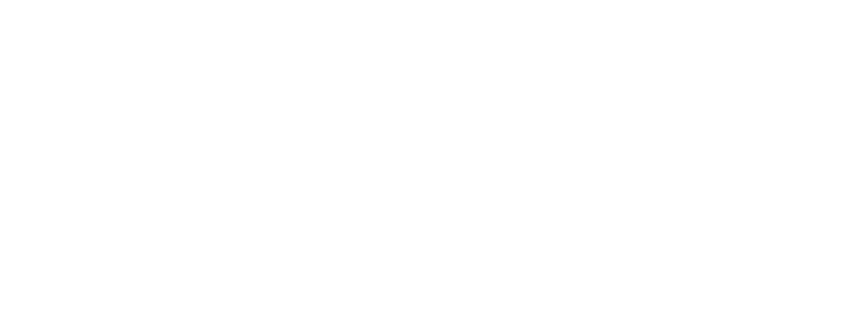 The Simpsons Movie