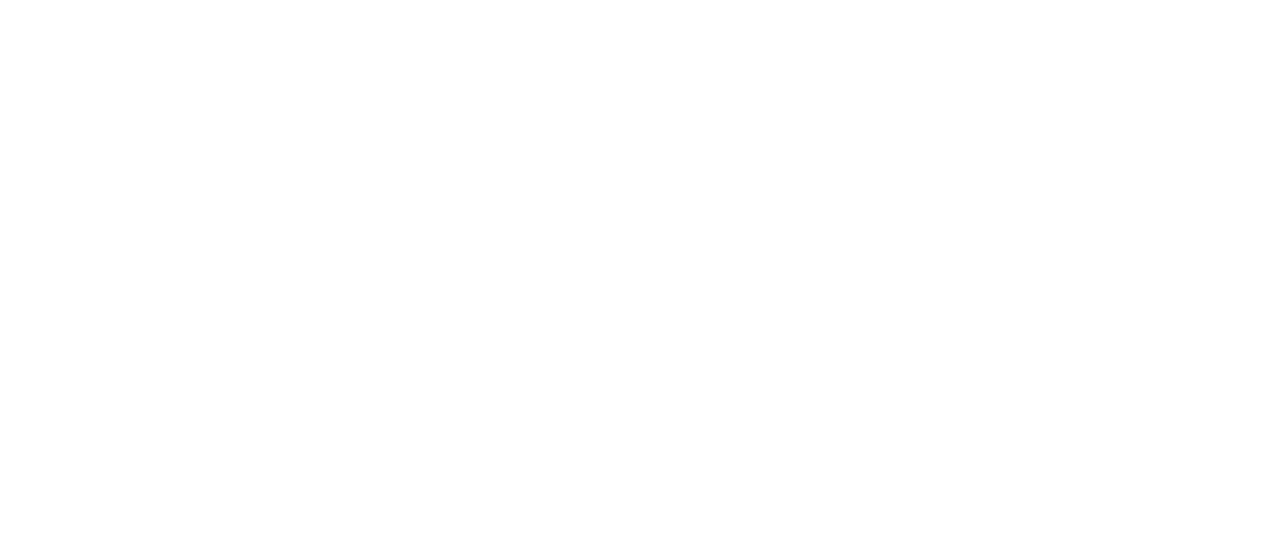 Miraculous Brothers