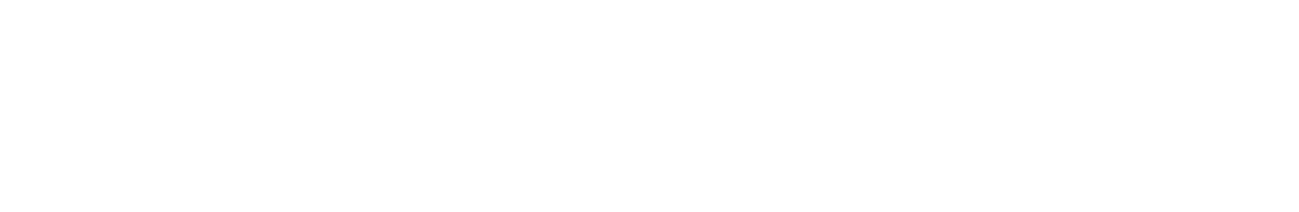 Hello Ladies: The Movie