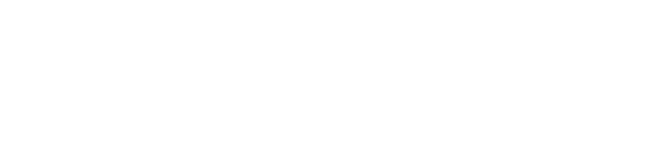 Imitation