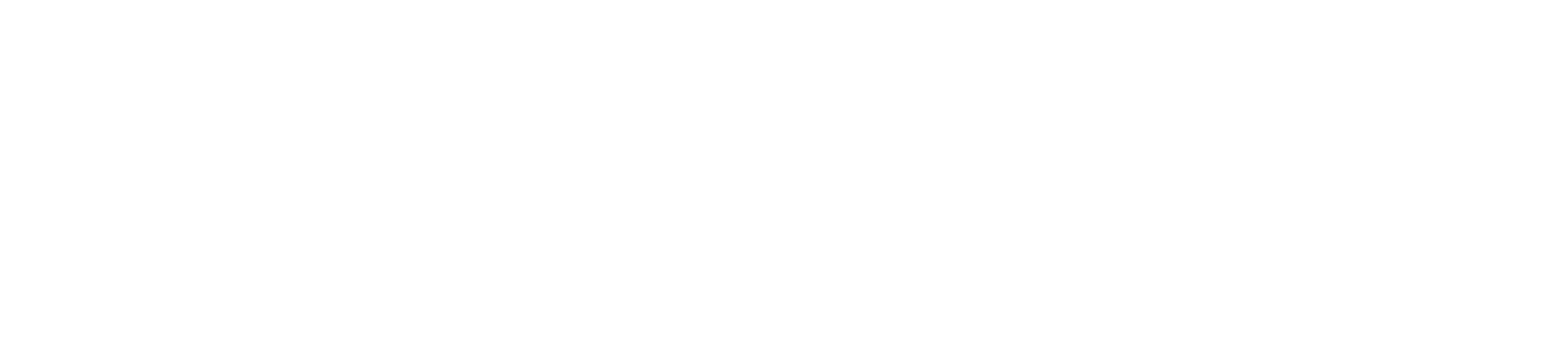 The Completely Made-Up Adventures of Dick Turpin