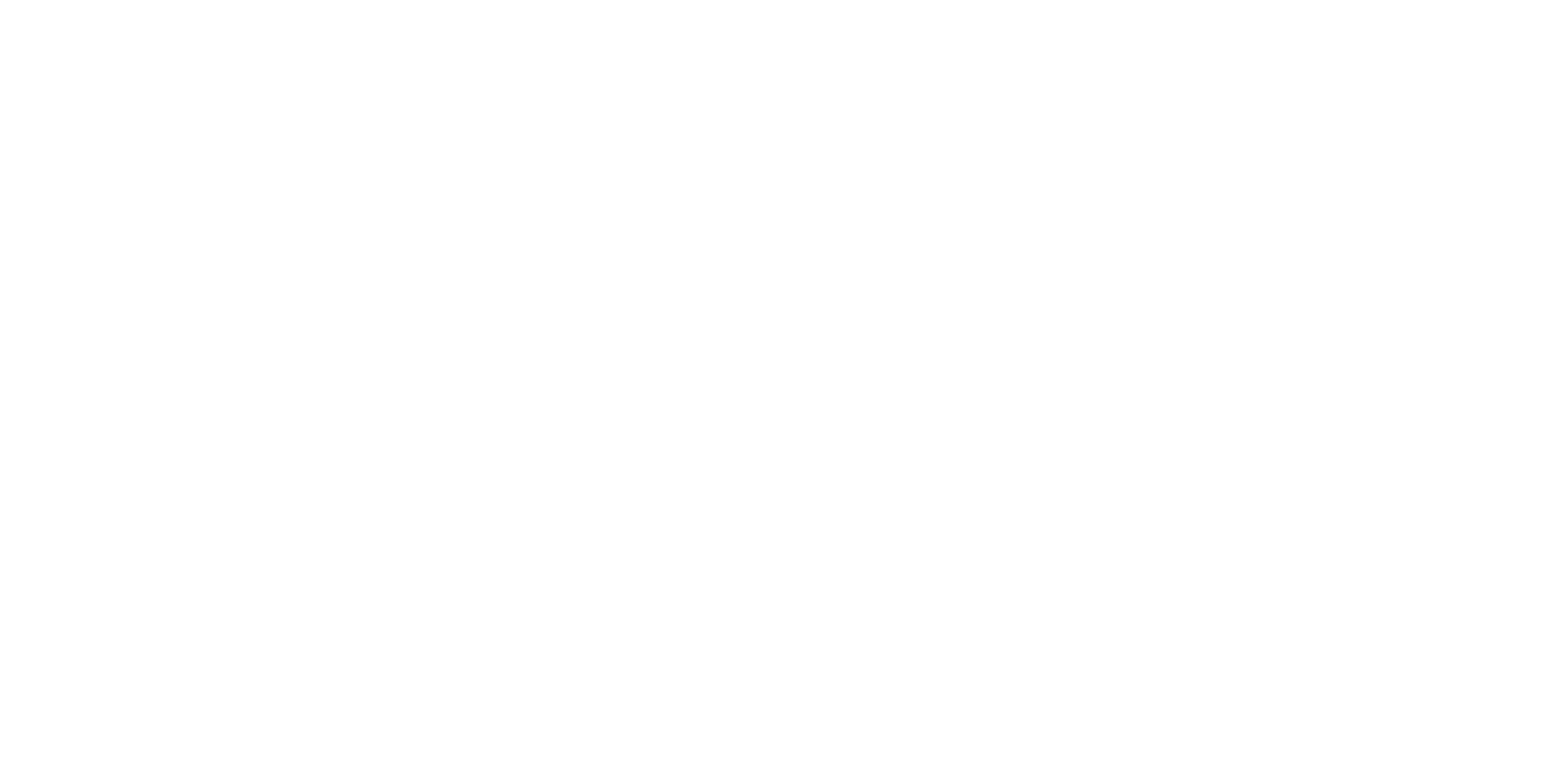 Dashing Youth