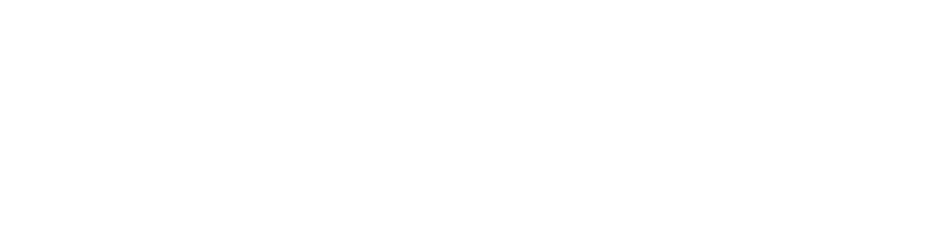 The Sinner