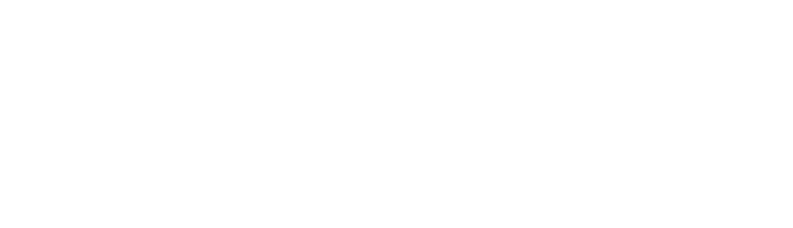 Midnight Family