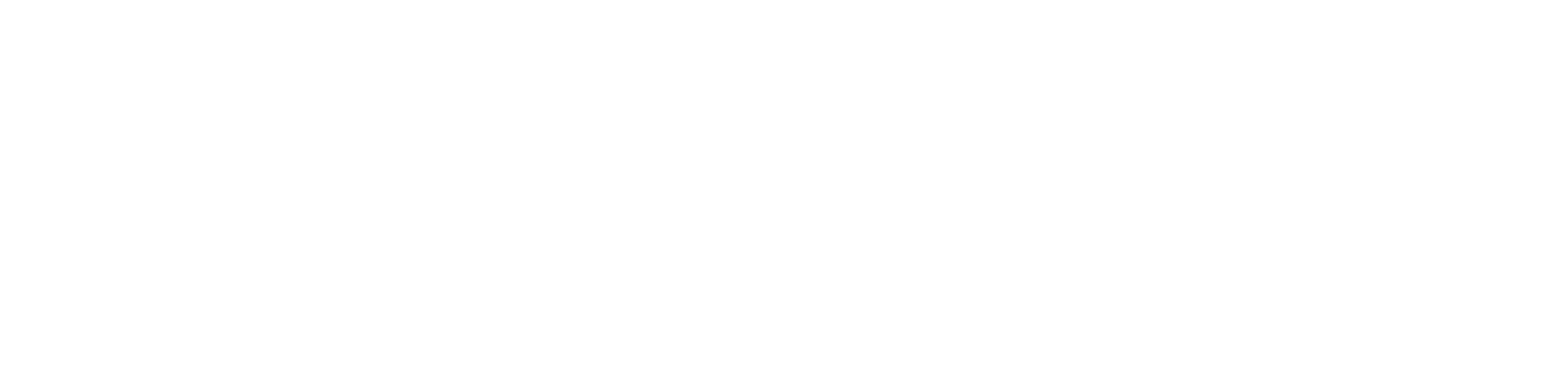 The Dutchman
