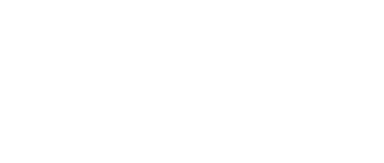 The Point Men