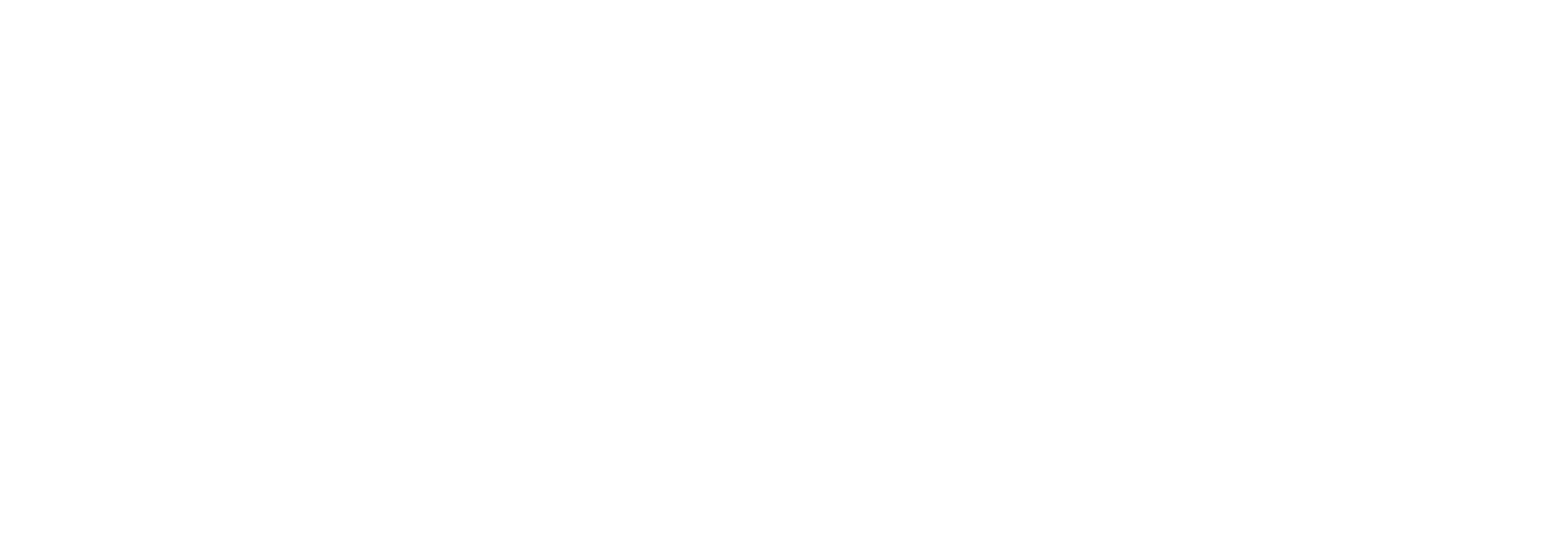 Jason Bourne