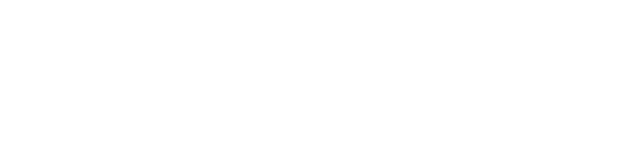 The Experiment