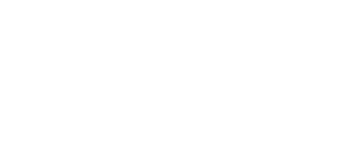 Silver Skates
