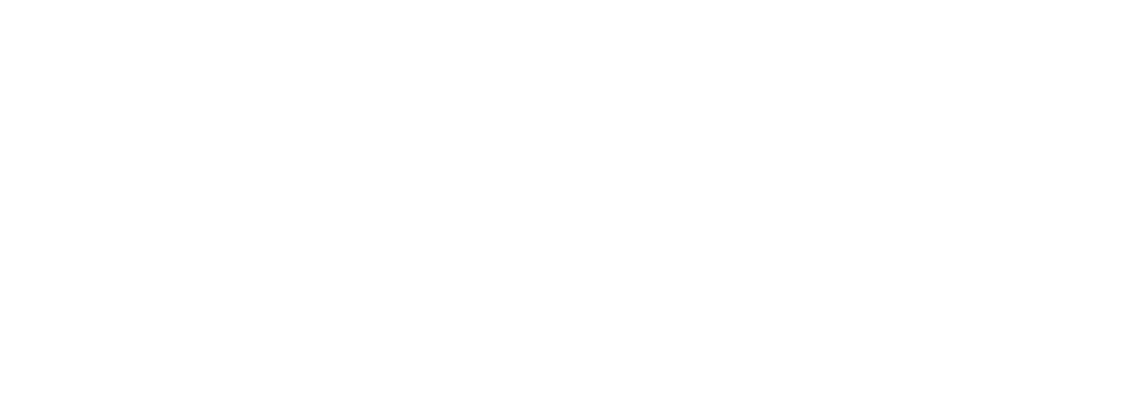 Inspector Koo