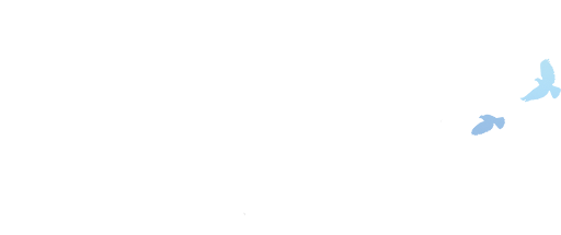 The White Olive Tree