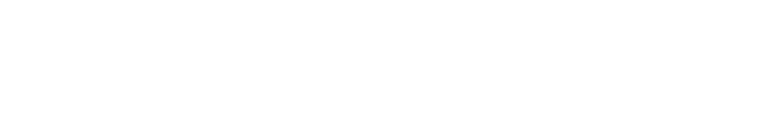 Brocade Odyssey