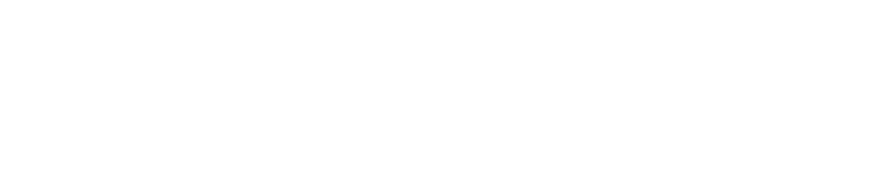 The Bourne Ultimatum
