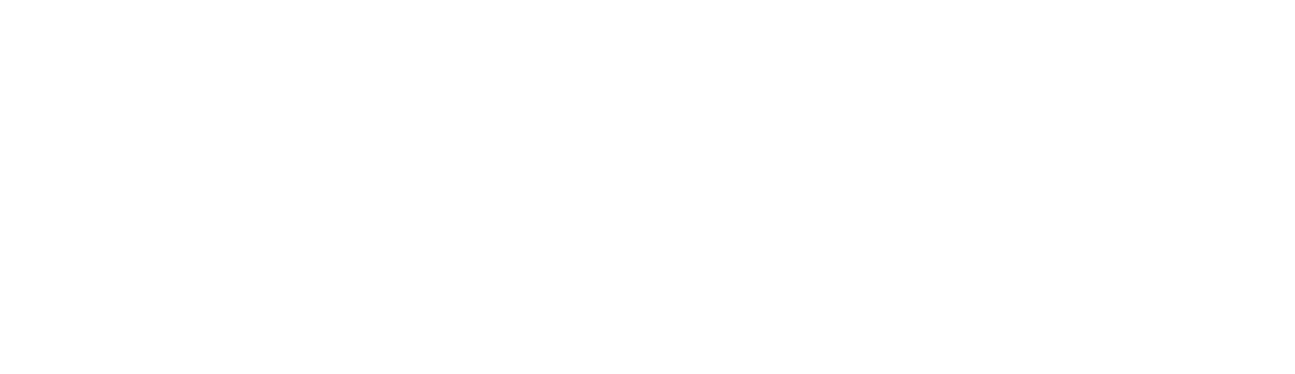 Observe and Report
