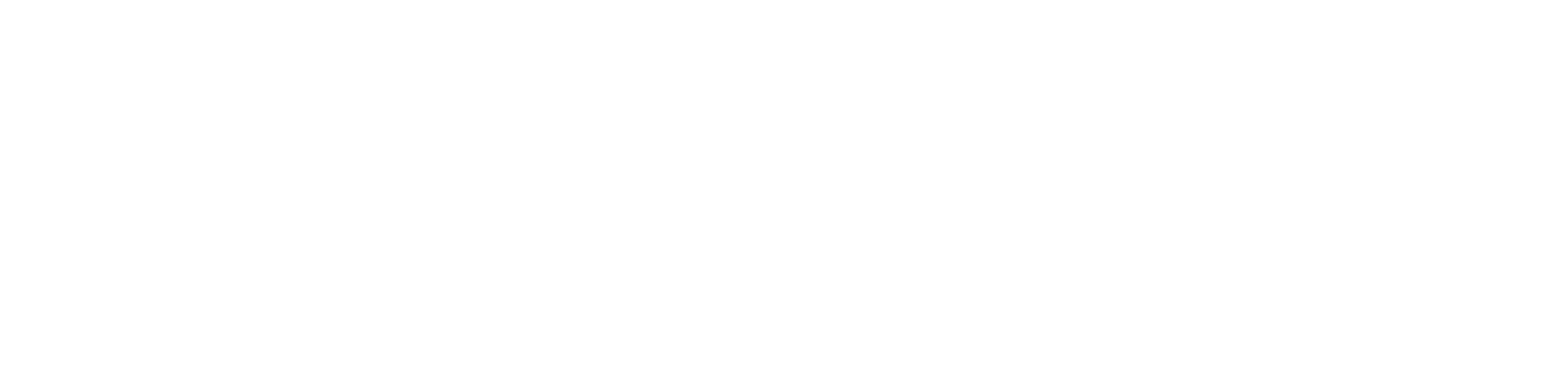 Dr. Brain