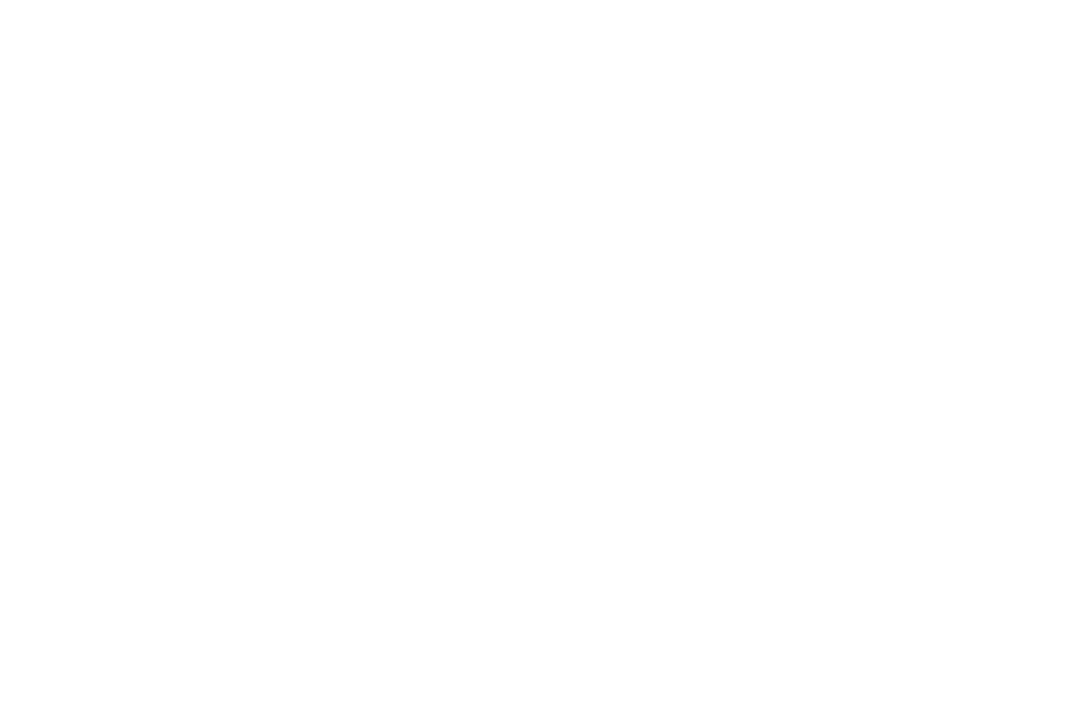 The Truthers