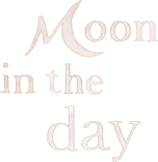 Moon in the Day