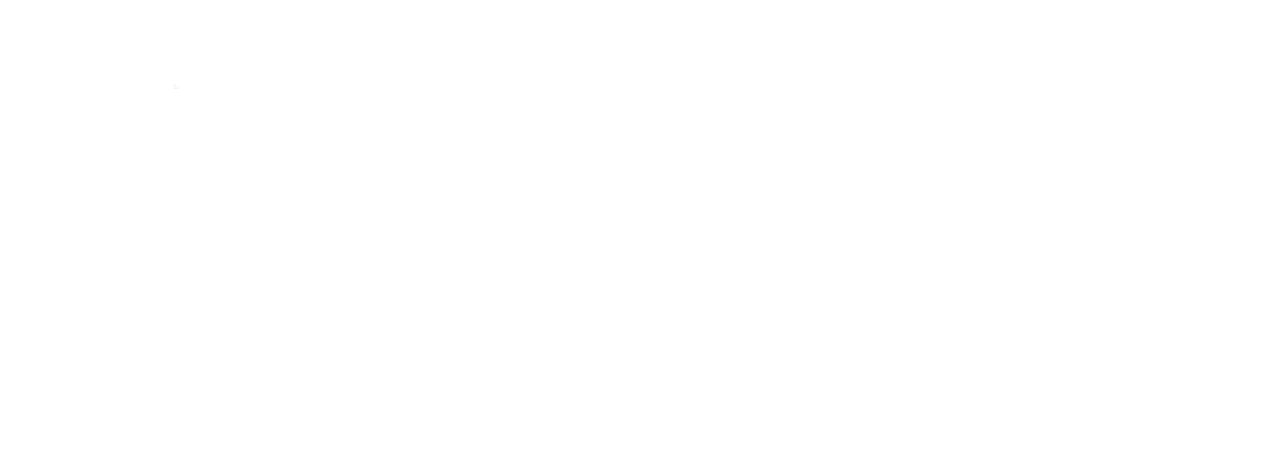 The Bourne Identity